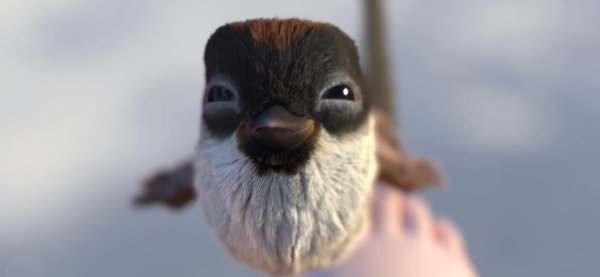 чикчирик мультфильм 2018