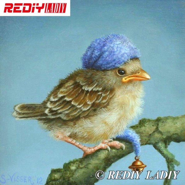 картины птиц