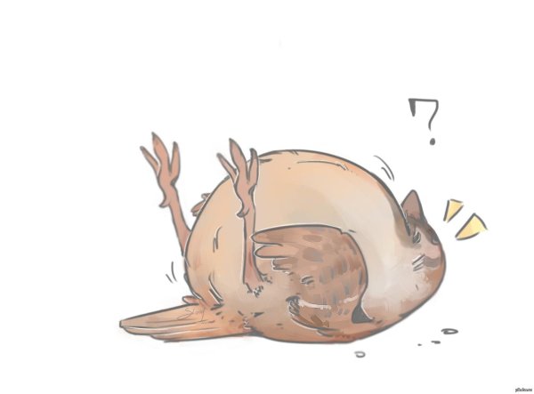 спящий тоторо