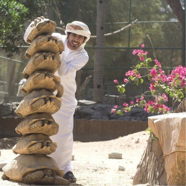 арабская страна