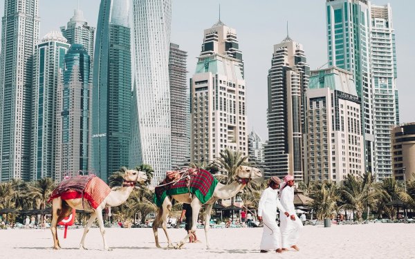 оаэ эмираты