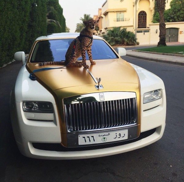 роскошные автомобили