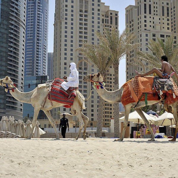 эмират абу даби