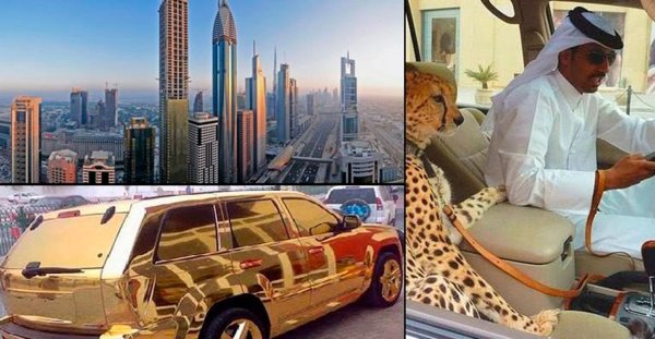 золотая ламба шейха дубая