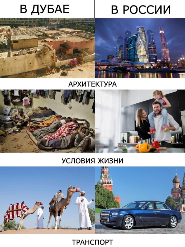 россия и оаэ