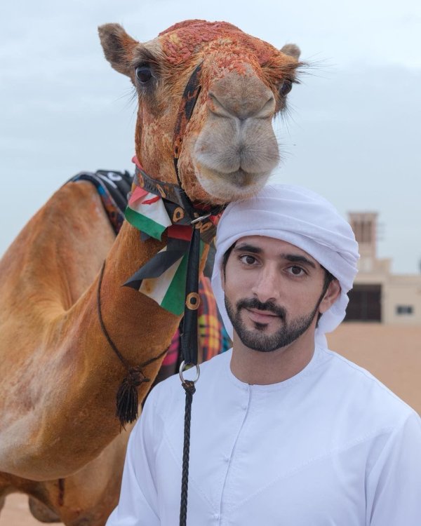 sheikh hamdan bin mohammed bin rashid al maktoum