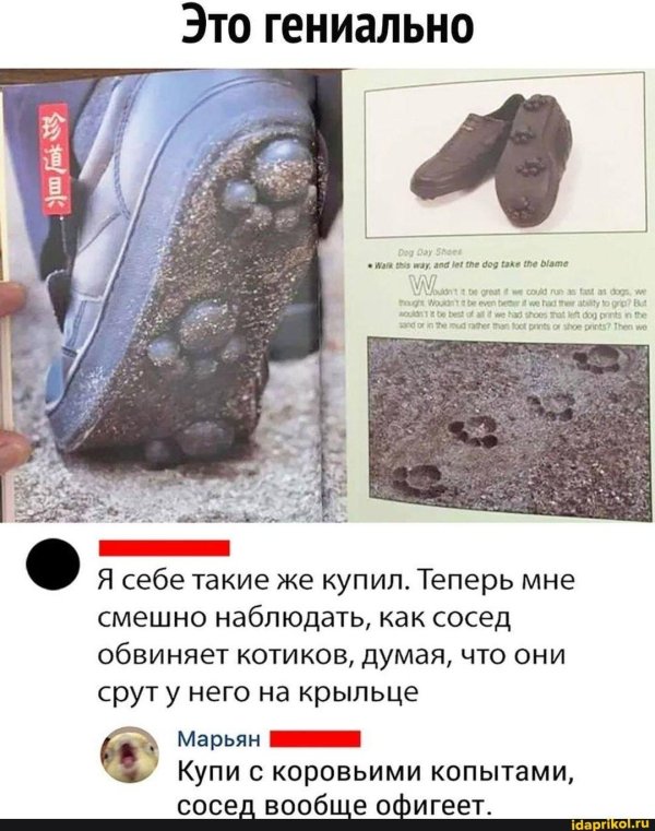 гениальные шутки