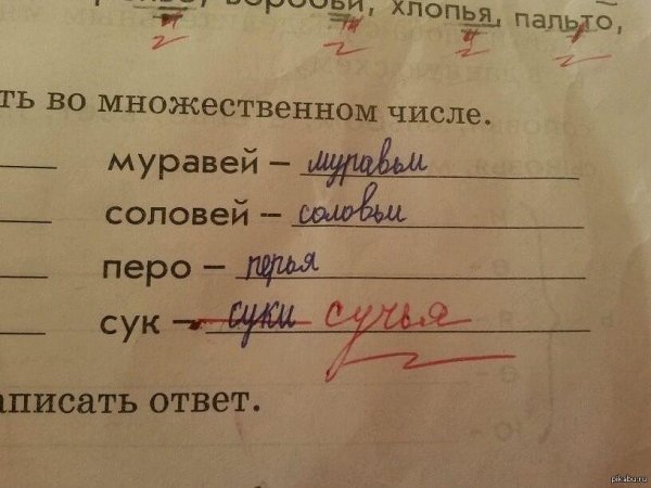 шило во множественном числе