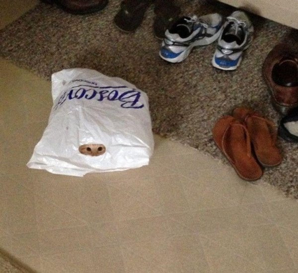 пакет одежды