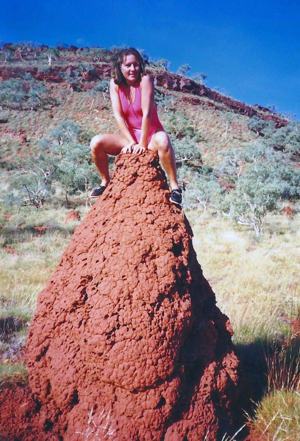 термиты австралии