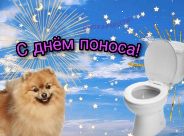 прикольное поздравление с днём