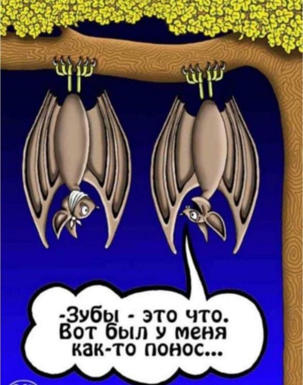 веселые карикатуры