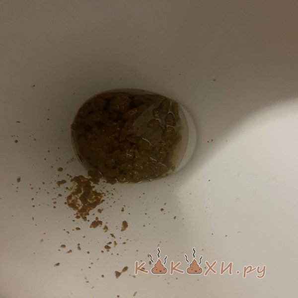 фотографии какашек