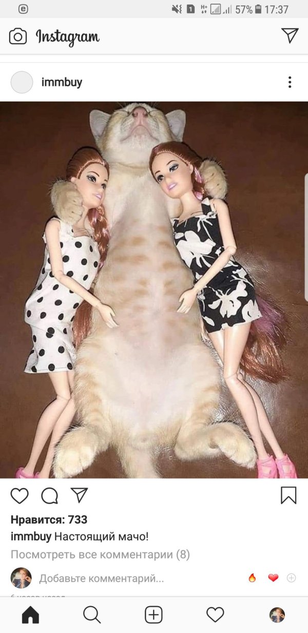 крутые приколы