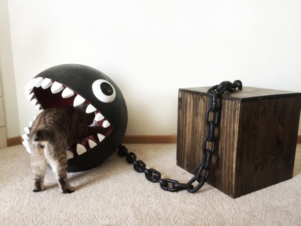 chain chomp