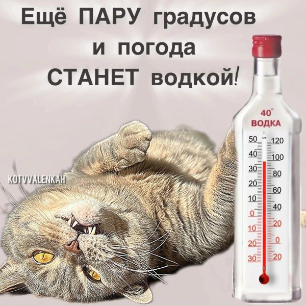шутки про водку