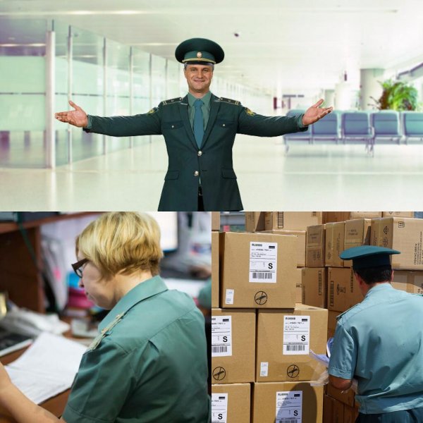 таможенные органы