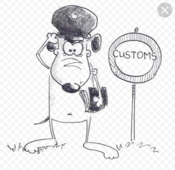 карикатура рисунки