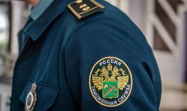 таможенные органы