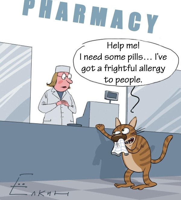 ветеринар рисунки