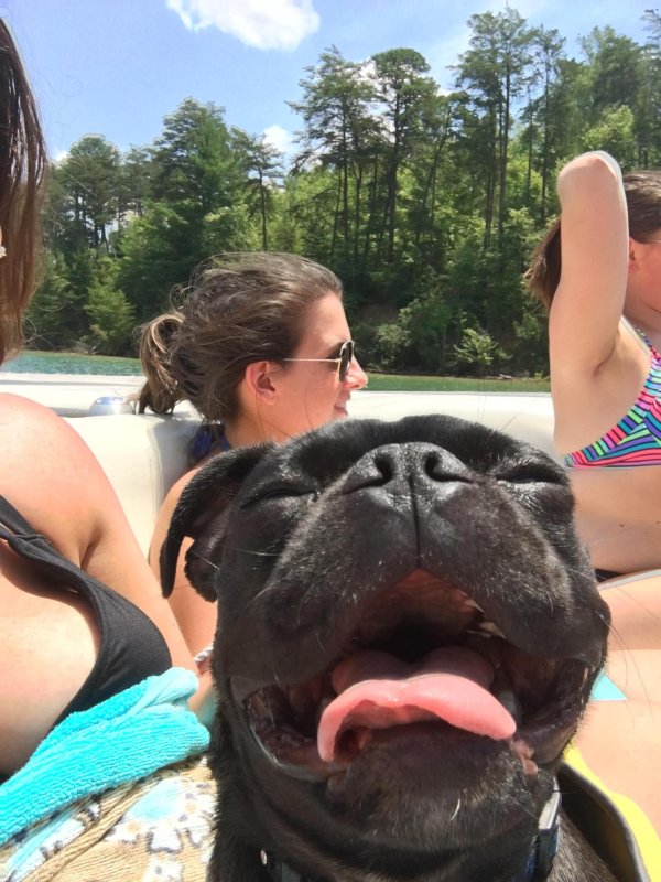 самое ржачное