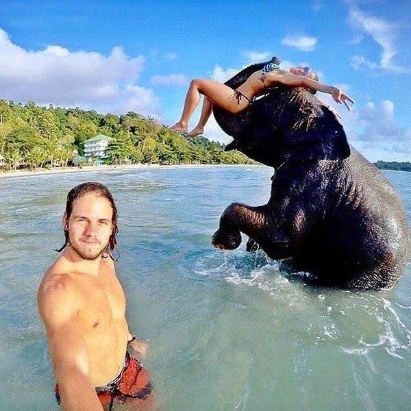 пхукет слоны