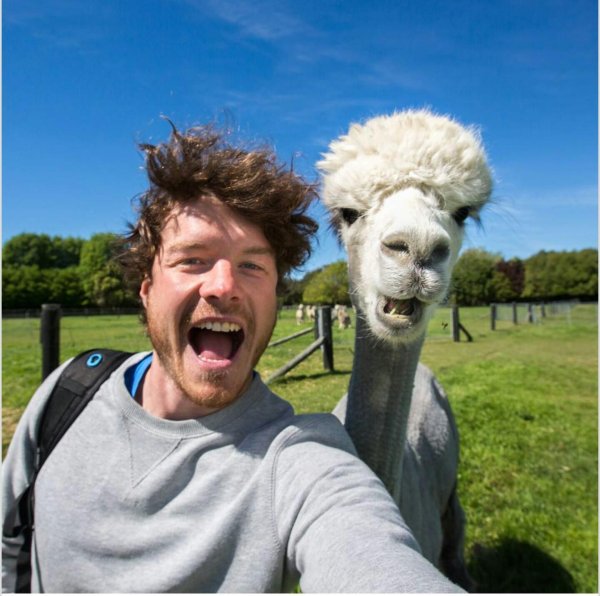 аллан диксон