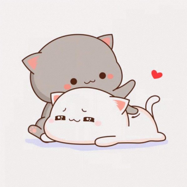 кавайные котики