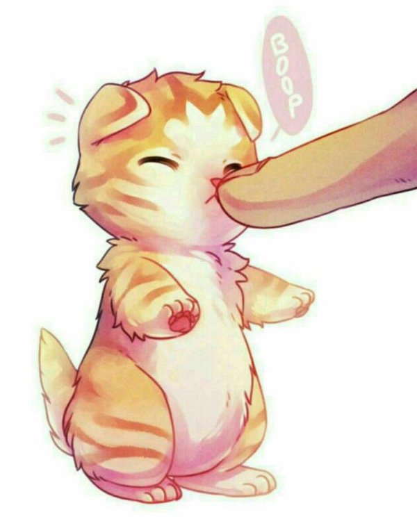 милые арты котиков