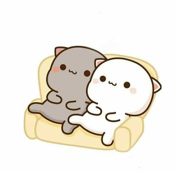 кавайные котики