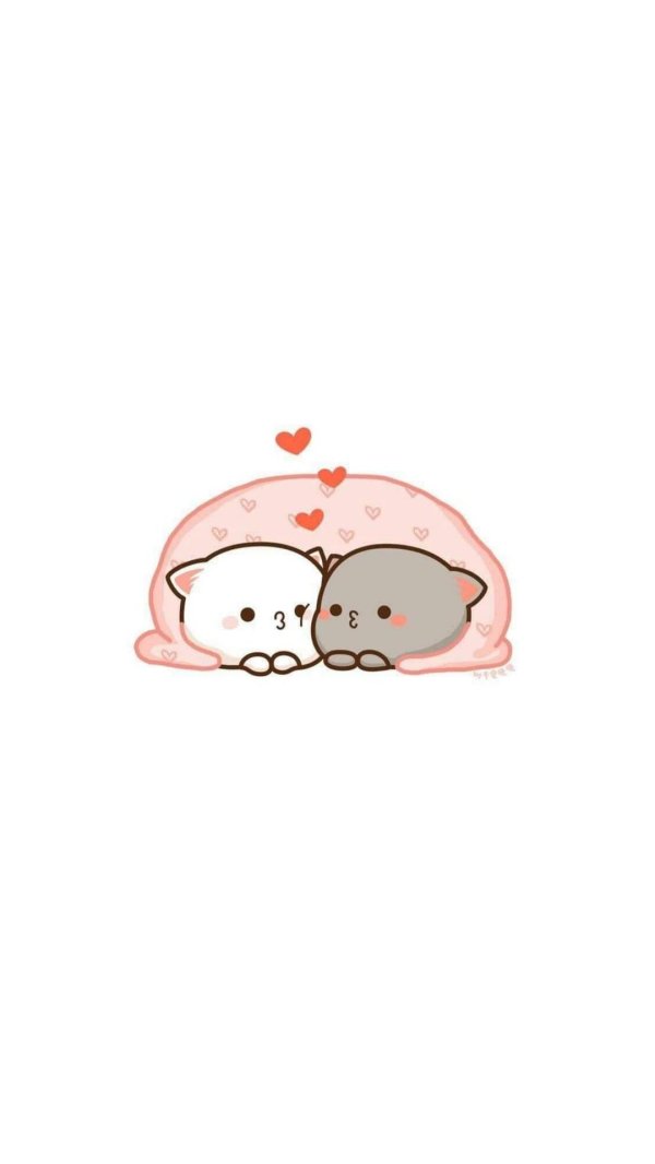 кавайные котики любовь