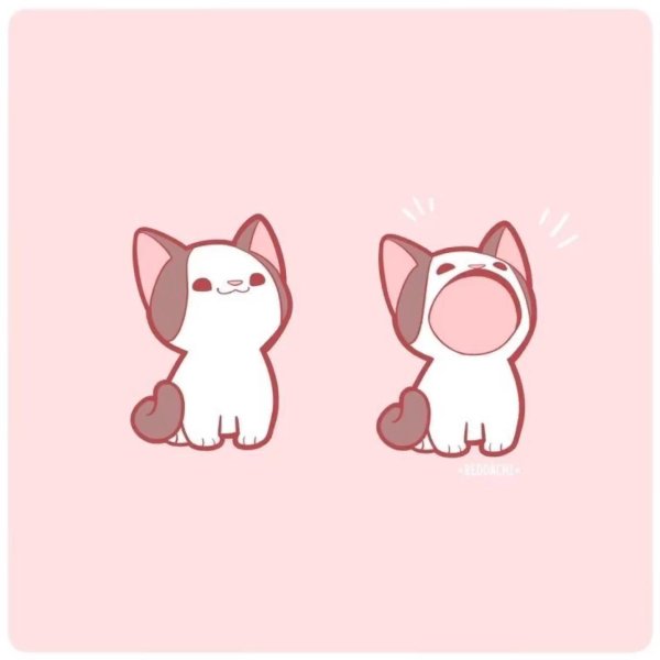 милые коты рисунки