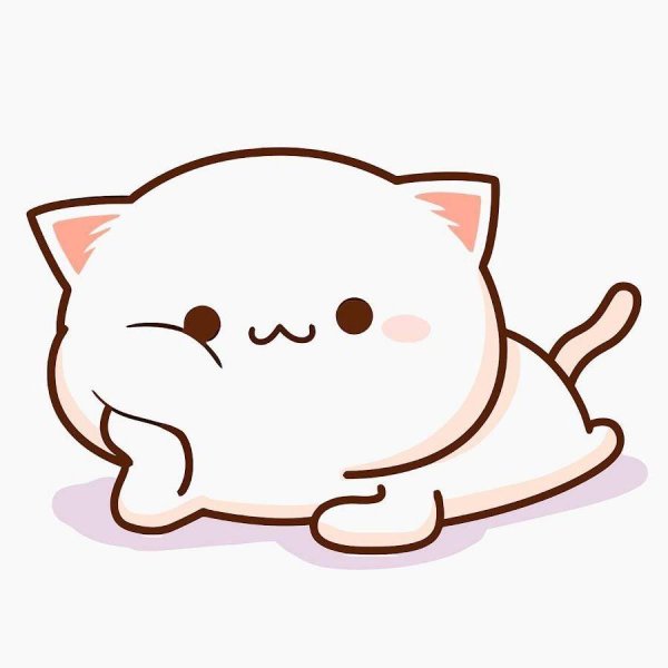 каваи котик
