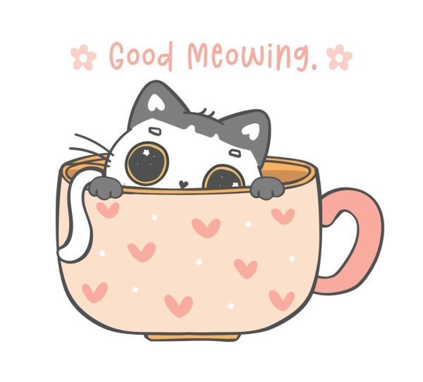 котик в чашке