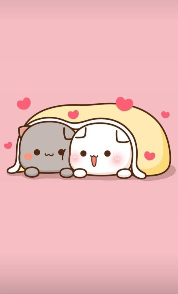 кавайные котики любовь