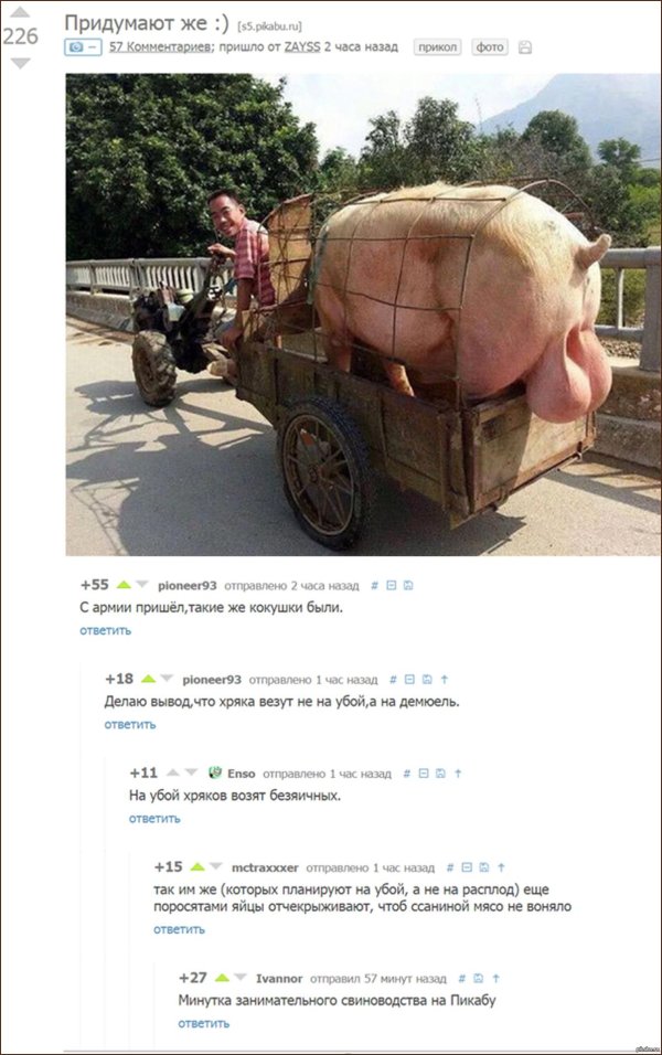 большие яйца