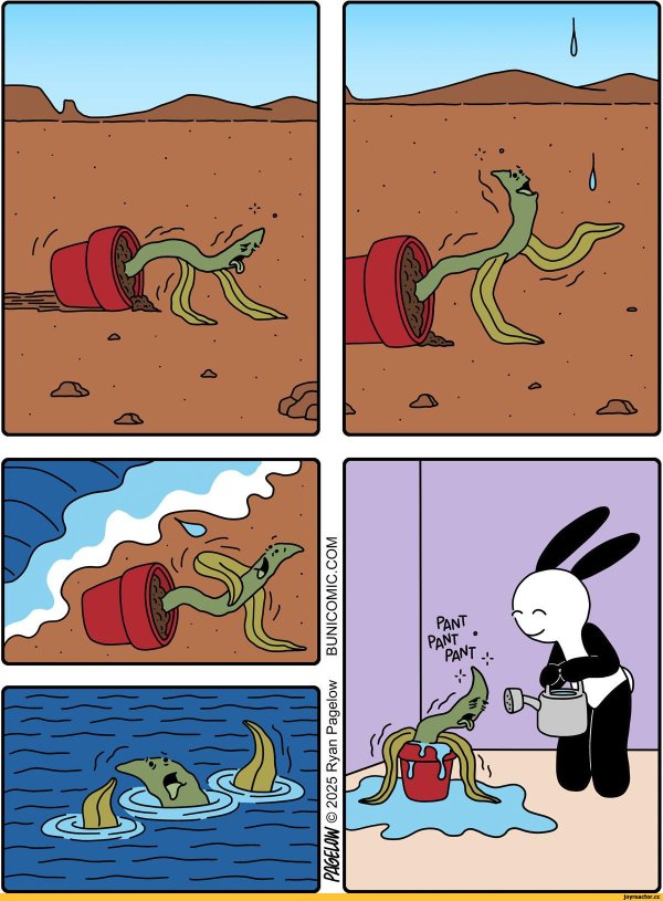 забавные комиксы