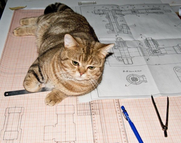 работа по черчению