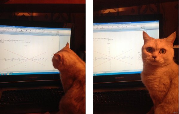 смешной проектировщик