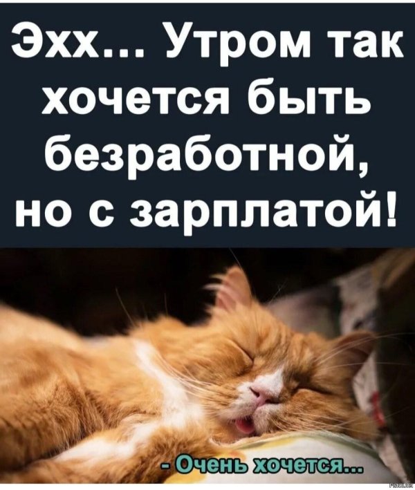хочу зарплату