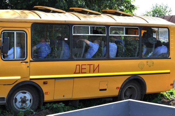 школьные автобусы