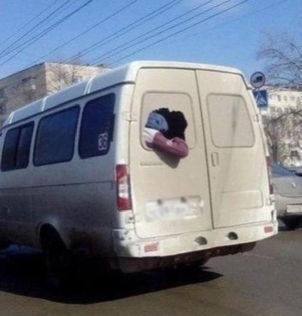 смешная газелька