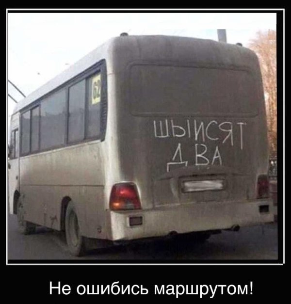 автобус шыисят два