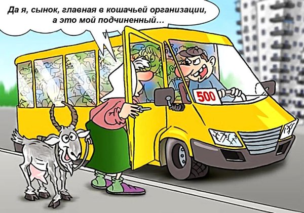 карикатура на водителя автобуса