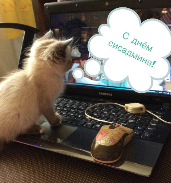 с днем сисадмина