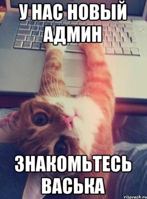 новый админ