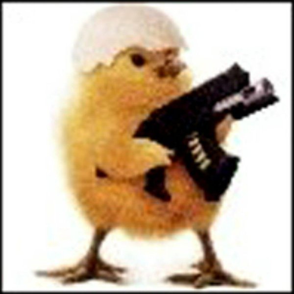 утка с автоматом