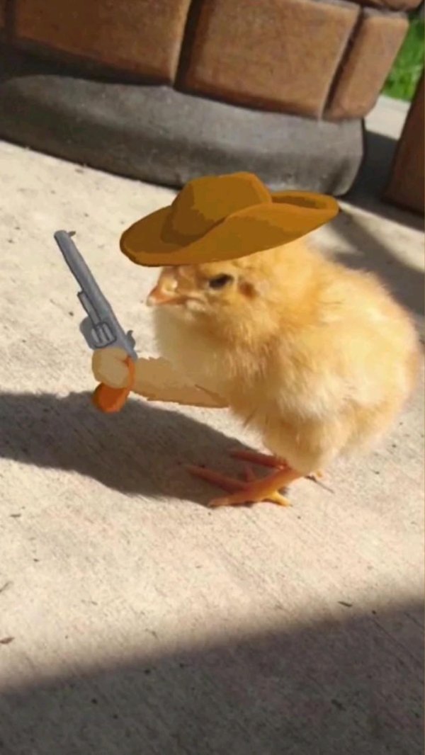 цыпленок с оружием