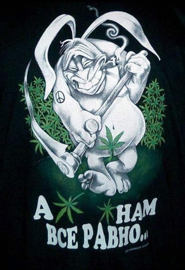 зайцы косят траву