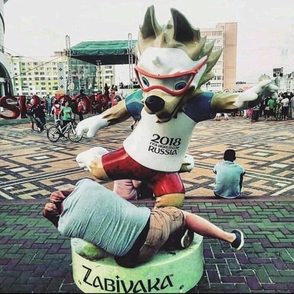 забивака 2018